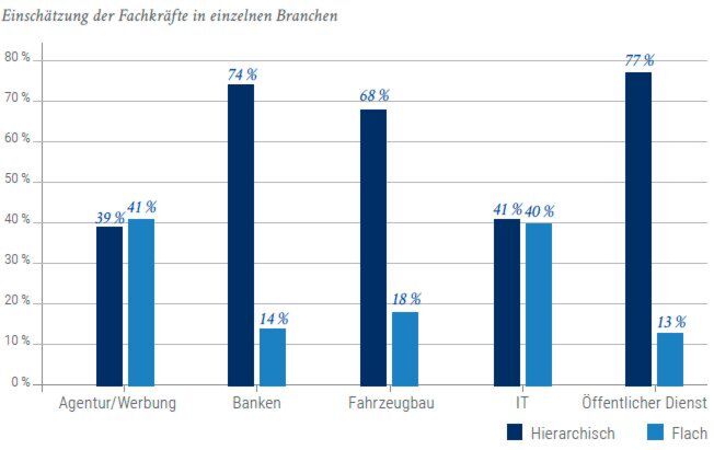 Die Einschatzung Der Organisationsstruktur Der Unternehmen Nach