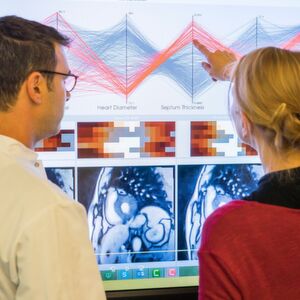 Herzklappen-OP: Software simuliert Eingriff am virtuellen Herzen