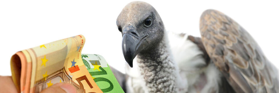 Hässler Pleite Hässler Pleite