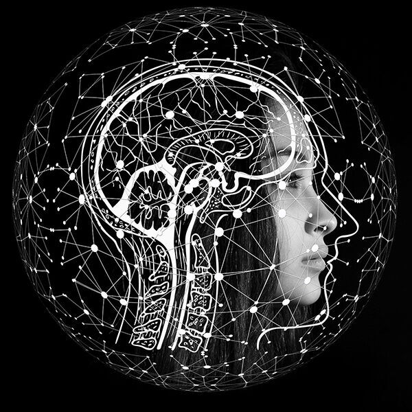 Knstliches Gehirn mit nur einem Neuron realisiert